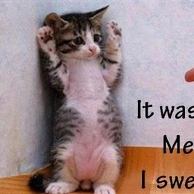 Profile Picture of Brett Grieve Davis (@@brett92190) on Twitter