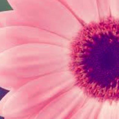 Profile Picture of Paula (@paulamirabella) on Twitter