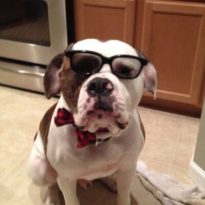 Profile Picture of Byron Jacobs (@bjacobs44001) on Twitter