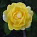Profile Picture of Jim Eilers (@jim.eilers.585) on Facebook