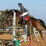 Profile Picture of Liz Holmes (@liz.holmes.336) on Instagram