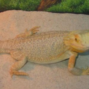 Profile Picture of Matthew Greenstein (@webuyandsell2000) on Myspace