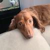 Profile Picture of Jason Cohen (@@user880237373) on Tiktok