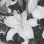 Profile Picture of Kevin Walters (@kevin_walters_) on Instagram