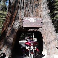 Profile Picture of Moe Allen Morriston (@moe-allen-morriston) on Quora