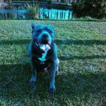 Profile Picture of Joann Joyce (@joann.joyce) on Instagram