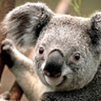 Profile Picture of Marc Sandoval (@marc-sandoval-7) on Quora