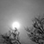 Profile Picture of Tochihuitzin (@tochihuitzin) on Flickr