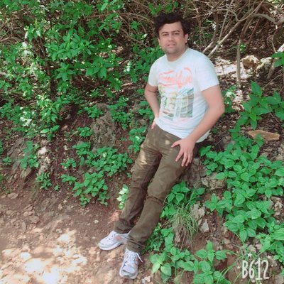 Profile Picture of Kamran Hamid Butt (@Calmwrawn) on Twitter