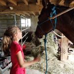 Profile Picture of Clara Bailey (@clara_bailey_1) on Instagram