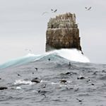 Profile Picture of Hassan Masoud (@hassan_masoud) on Instagram