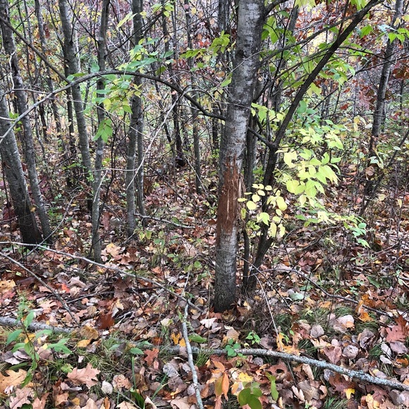 Profile Picture of Marshall Bergen (@mbergen42) on Poshmark