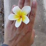 Andrea Bejlková Chalupecká - Instagram Profile Picture of Andrea Bejlková Chalupecká (@andreabejlkovachalupecka) on Instagram