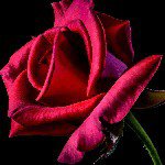 Profile Picture of thomas Richard (@rcabreja27) on Instagram