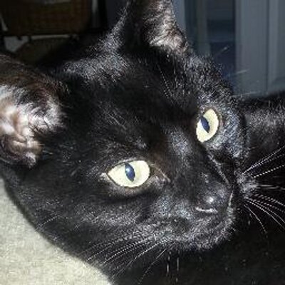 Profile Picture of Trevor Nichols (@trevornichols) on Twitter