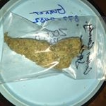 Profile Picture of Steven (@stoner.picsallday) on Instagram