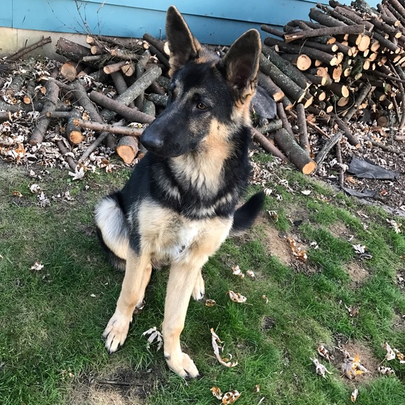 Profile Picture of Simon Baity (@baity2929) on Poshmark