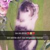 Profile Picture of Daniel janssen (@@29072002daniel) on Tiktok