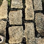 Profile Picture of Ryan Netto (@netto_ryan) on Instagram