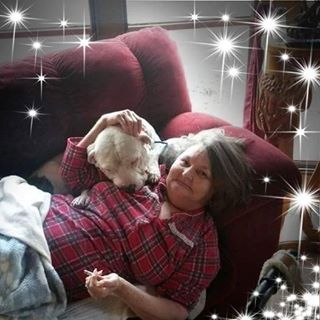 Profile Picture of Sharon Lee (@Sharon-Lee) on Facebook