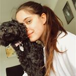 Profile Picture of Alex Pellegrini (@alexpells_) on Instagram