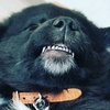 Profile Picture of Mark Gervais (@mrmarkgerv) on Tiktok