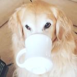 Profile Picture of Carson Cummings (@carsoncummings2) on Instagram