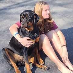 Profile Picture of robertstairesjr (@robert.staires.jr) on Tiktok