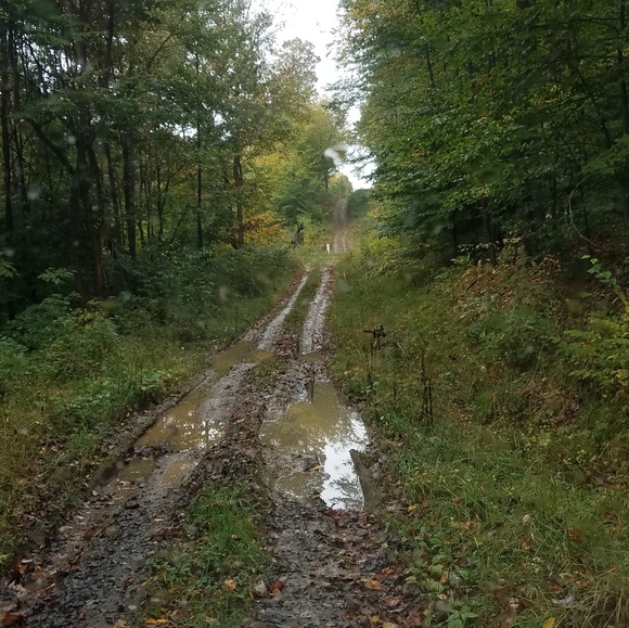 Profile Picture of Brandon Mathis (@boomathis223) on Poshmark