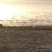 Profile Picture of Richard Pagani (@richard-pagani-1) on Quora