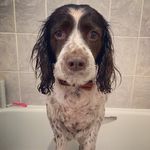 Profile Picture of Lyndsey Howard (@phylis_x_) on Instagram