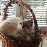 Profile Picture of Bill Spanbauer (@wts1957) on Instagram