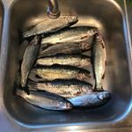 Profile Picture of Hunter, Karsten, Jacob (@fishingbudz) on Instagram