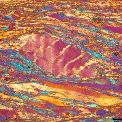 Profile Picture of Zachary Michels (@drumasaurusrex) on Twitter