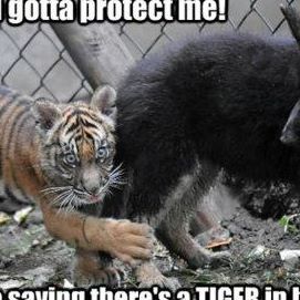 Profile Picture of Kyle Piggott (@kyle.piggott.16) on Facebook