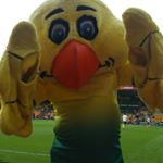 Profile Picture of james bushell (@raidioseven) on Instagram