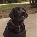 Profile Picture of Craig Irving (@craigirving1127) on Instagram