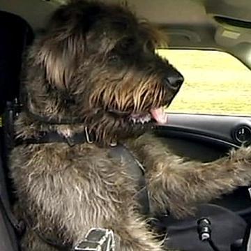 Profile Picture of Luke Swain (@Crazy_boy_luke) on Twitter