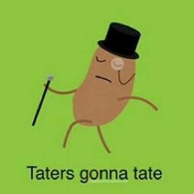 Profile Picture of Nictate (@nictate) on Twitter
