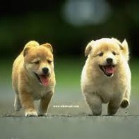 Profile Picture of Janet Cohen (@janet-cohen) on Quora