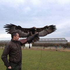 Profile Picture of adrianbroom1 (@adrianbroom1) on Tiktok