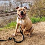 Profile Picture of Michelle Passafiume Owens (@mpassafiumeowens) on Instagram