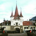 Profile Picture of Alex (@wallachianman) on Instagram