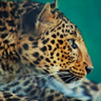 Profile Picture of Jacob Langston (@jacob-langston-16) on Quora