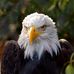 Profile Picture of Michael Anania (@michael.anania.395) on Facebook