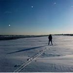 Profile Picture of Richard Andryszewski (@richardandryszewski) on Instagram