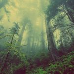 Profile Picture of codyloggins (@logginscodycl) on Instagram