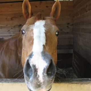 Profile Picture of Barbara Mulick Savasta (@barbara.mulicksavasta) on Facebook