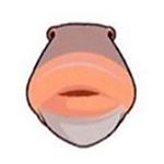 Profile Picture of Jillian (@marinelimestone) on Instagram