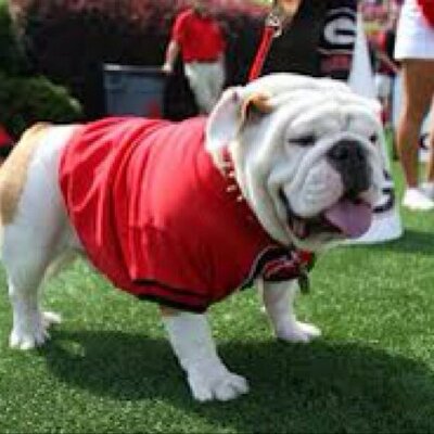 Profile Picture of Travis Boyles (@wtravisboyles) on Twitter